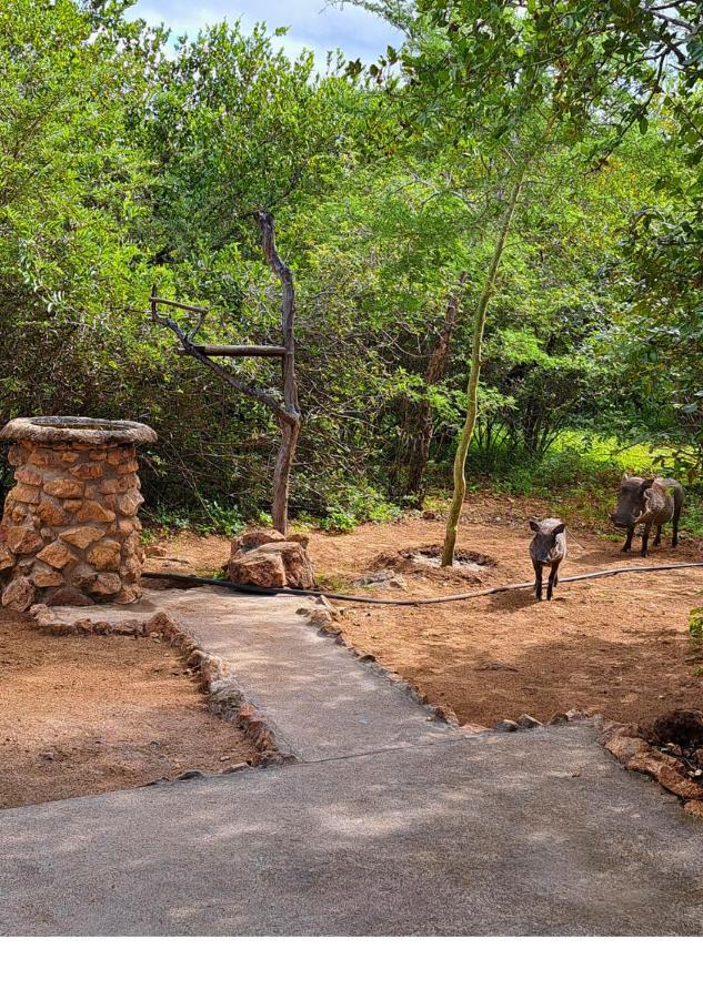Villa Lion King à Marloth Park Extérieur photo