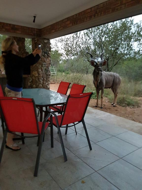 Villa Lion King à Marloth Park Extérieur photo
